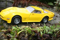 Model samochodu zdalnie sterowanego Corvette Model samochodu zdalnie sterowanego Corvette