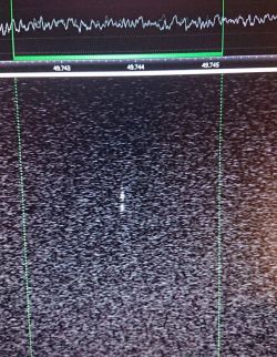 RTL-SDR - an SDR receiver from a cheap DVB-T tuner on a USB connector
