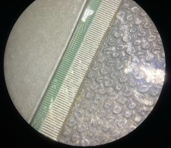 Zbliżenie na taśmę matrycy z warstwą kleju