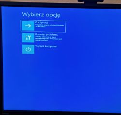 Ekran z opcjami odzyskiwania systemu Windows.