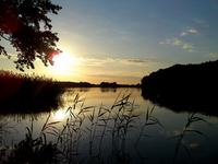 Telefon klawiszowy z dobrym aparatem i Wi-Fi - jaki model wybrać?