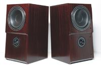 Dynaudio 2024 msp 100