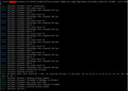 Screenshot of a text terminal showing the procedure of flashing a binary file onto a device.