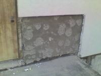 Ants Damaging Polystyrene Insulation in Garage Annex: How to Prevent? Ants Damaging Polystyrene Insulation in Garage Annex: How to Prevent?