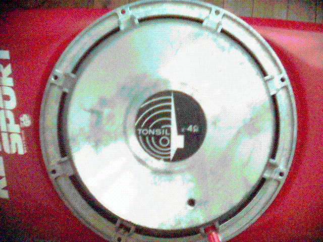 jaki to model tonsila ?...