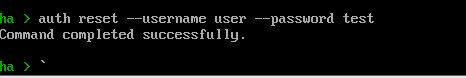 Password reset command in Home Assistant completed successfully.