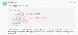 Screenshot of a forum post showing a YAML configuration snippet for a binary_sensor using the MQTT platform in Home Assistant.