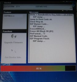 Screen showing firmware update for a 256GB Gigabyte SSD with process messages.