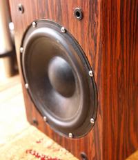 Budżetowy subwoofer na SW.STX.8.2.300.2x2.F.S.PC Budżetowy subwoofer na SW.STX.8.2.300.2x2.F.S.PC