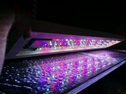 Tworzenie belki LED dla roślin wymagających w akwarium 150x44,5x60cm - ilość i typ diod?