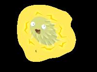 Uzyskiwanie elektryczności z bakterii w błocie