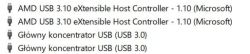 Lista sterowników USB obejmująca dwa kontrolery AMD i dwa koncentratory USB 3.0