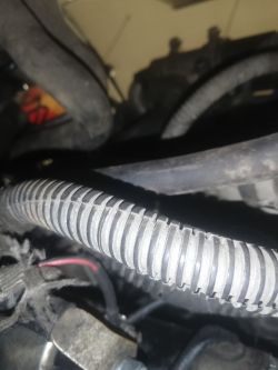 Opel Astra H 1.9cdti - niebiesko-czerwony kabel przy rozruszniku - gdzie podłączyć?