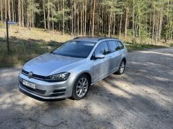 Silver Volkswagen Golf wagon parked on a forest road.