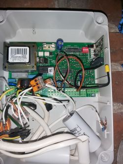 faac genius g-bat 300 - programowanie pilota na jedno skrzydło