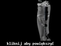 Damian - Robot humanoidalny