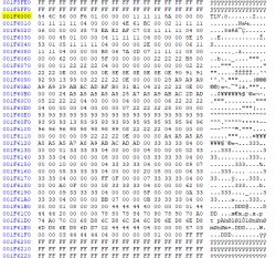 Screenshot displaying hex data from a binary file.
