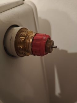 Radiator valve with a visible red knob.
