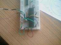 PIC16F877A & PIC18F4550 brak reakcji po zaprogramowaniu