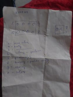 Montaż kamery cofania BMW i3 w Warszawie - szukam fachowca do podłączenia oryginalnej wtyczki