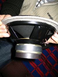 Subwofer na głośniku alphard LW1200 max.240W.