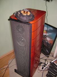 Problem z głośnikiem. Pęknięty kosz...