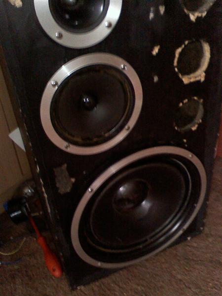 Renowacja i regeneracja altusów 75 od podstaw