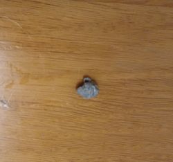 Mały, nadtopiony fragment szarego plastiku lub gumy na drewnianej powierzchni