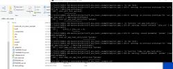 Console window compiling SDK projects on Windows.