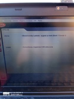 Błędy w Peugeot 206 plus 1.1 benzyna 2009 - immobilizer i sygnał sondy