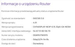 Ekran z informacjami o statusie urządzenia Router