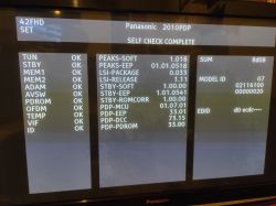Ekran testowy Panasonic z menu diagnostycznym i widocznymi cieniami obrazu