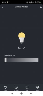 Dimmer Module App Interface App interface for controlling a dimmer module with brightness set to 19%.