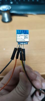 CB2S Module with Dupont Wires CB2S module with attached Dupont wires.