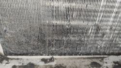 Brudny filtr w suszarce Electrolux Perfect Care 900.