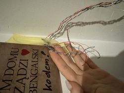 Ręka trzymająca kable domofonu Signo 11401 obok tabliczki z napisem W DOMU ZADZI BENGALSKI!.