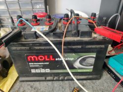 Akumulator Moll 82080 EFB 80Ah – rozładowany do 8V, czy to zwarcie celi? Próba odratowania Akumulator Moll 82080 EFB 80Ah – rozładowany do 8V, czy to zwarcie celi? Próba odratowania
