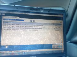 Ekran diagnostyczny na laptopie pokazujący wartości z czujników ABS/ESP w samochodzie Audi A6 (2005).