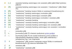 Lista ikon i opisów plików oraz katalogów w programie do odzyskiwania danych DMDE.
