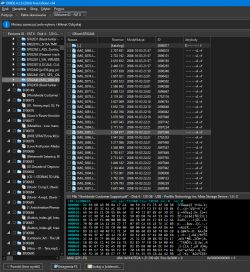 Zrzut ekranu z programu DMDE pokazujący pliki na dysku USB w systemie plików FAT.