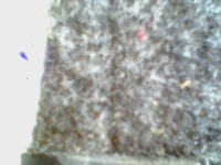 Mocne basy estradowe na 12"