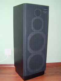 Mam głośniki, ale czy warto coś z nich zrobić ?