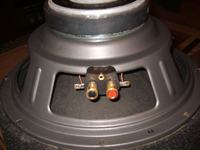 Głośnik MAGNAT - wymiary paki, czym wypełnić?