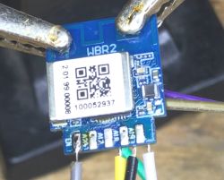 WBR2 Module with Connected Wires WBR2 module with wires connected to the pins