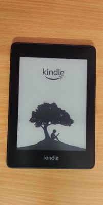 Kindle Paperwhite 4 - Kindle Paperwhite 4 reader - hangs on the startup screen