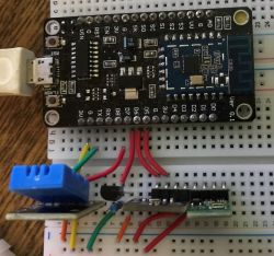 Electronic circuit on a breadboard with a NiceMCU module and several wires.