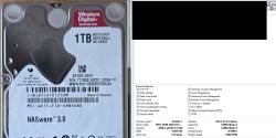 WD10JFCX-68N6GN0 1TB – niekompletne DANE, podejrzenie zerowania lub modyfikacji danych