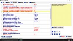 Seicento 1.1 MPI - Zamula i wyrzuca błąd czujnika spalania stukowego.