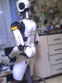 Damian - Robot humanoidalny