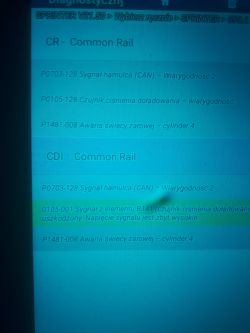 Zdjęcie ekranu diagnostycznego z kodami błędów dla Mercedesa Sprintera.